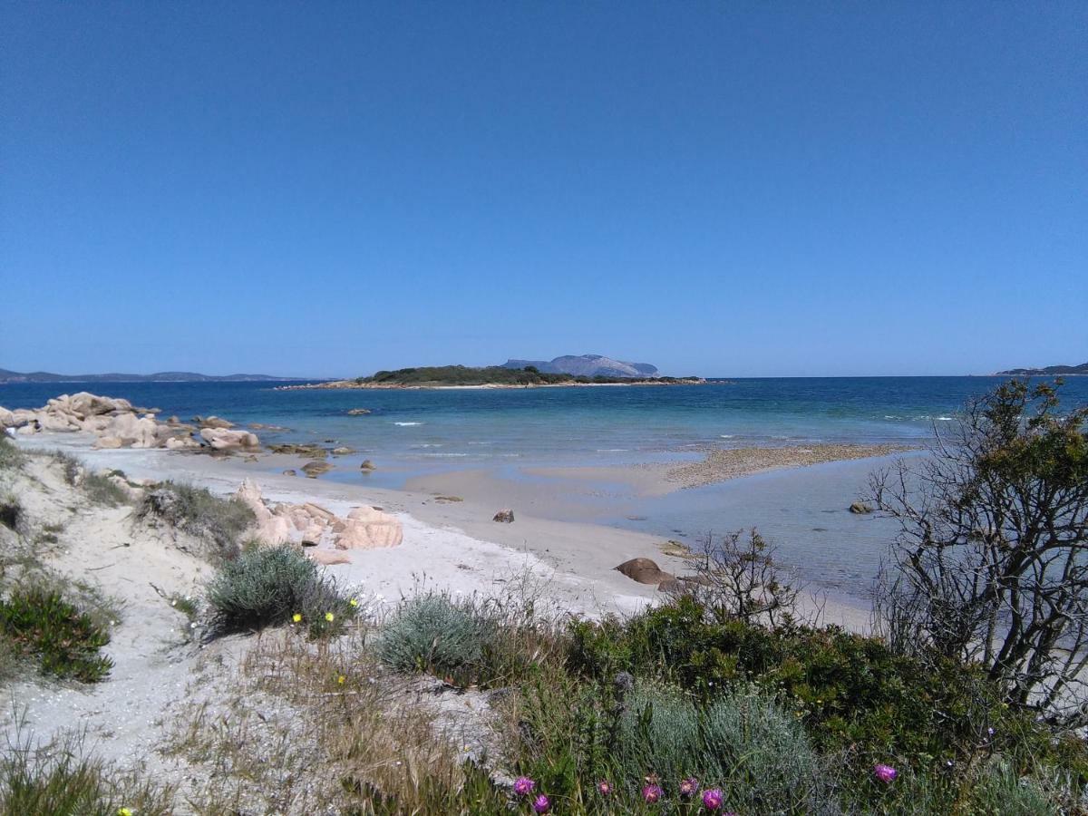 Residenza Le Maree Διαμέρισμα Murta Maria Εξωτερικό φωτογραφία